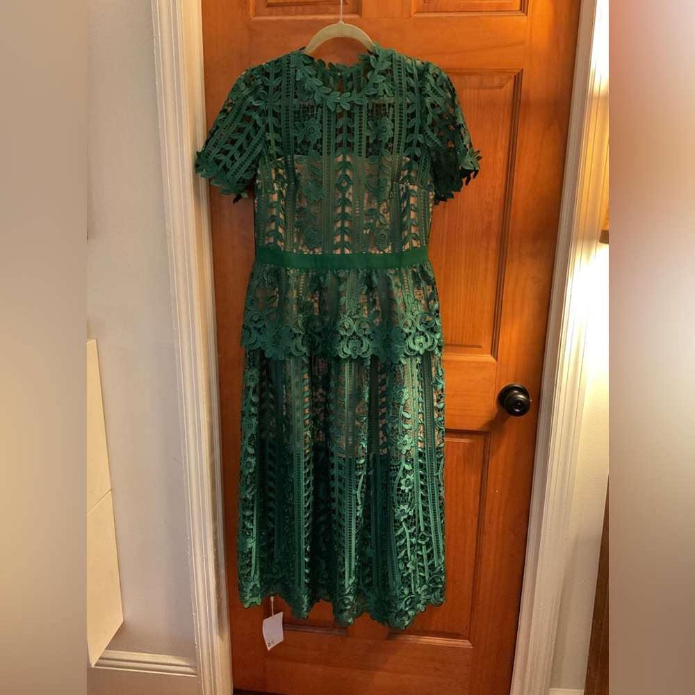 Self-Portrait Green Lace Midi Dress